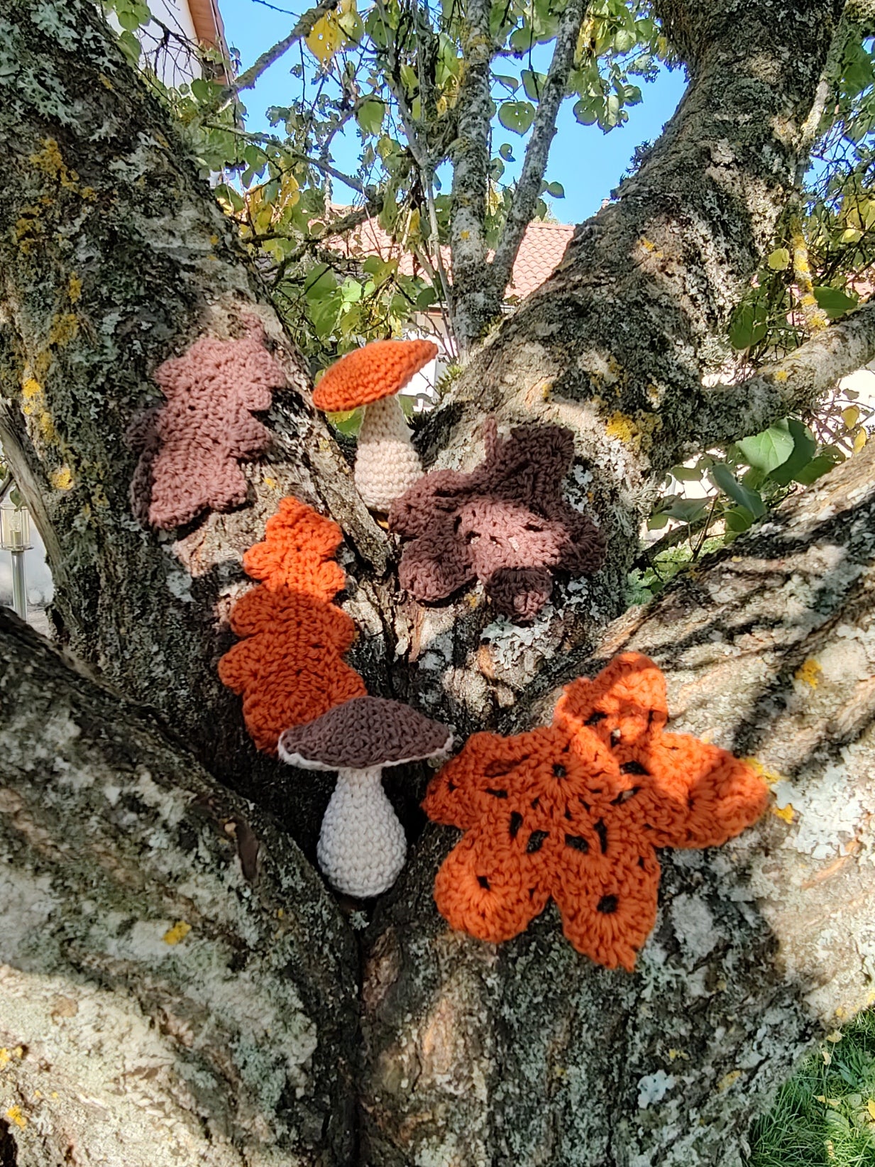 Décoration Automne