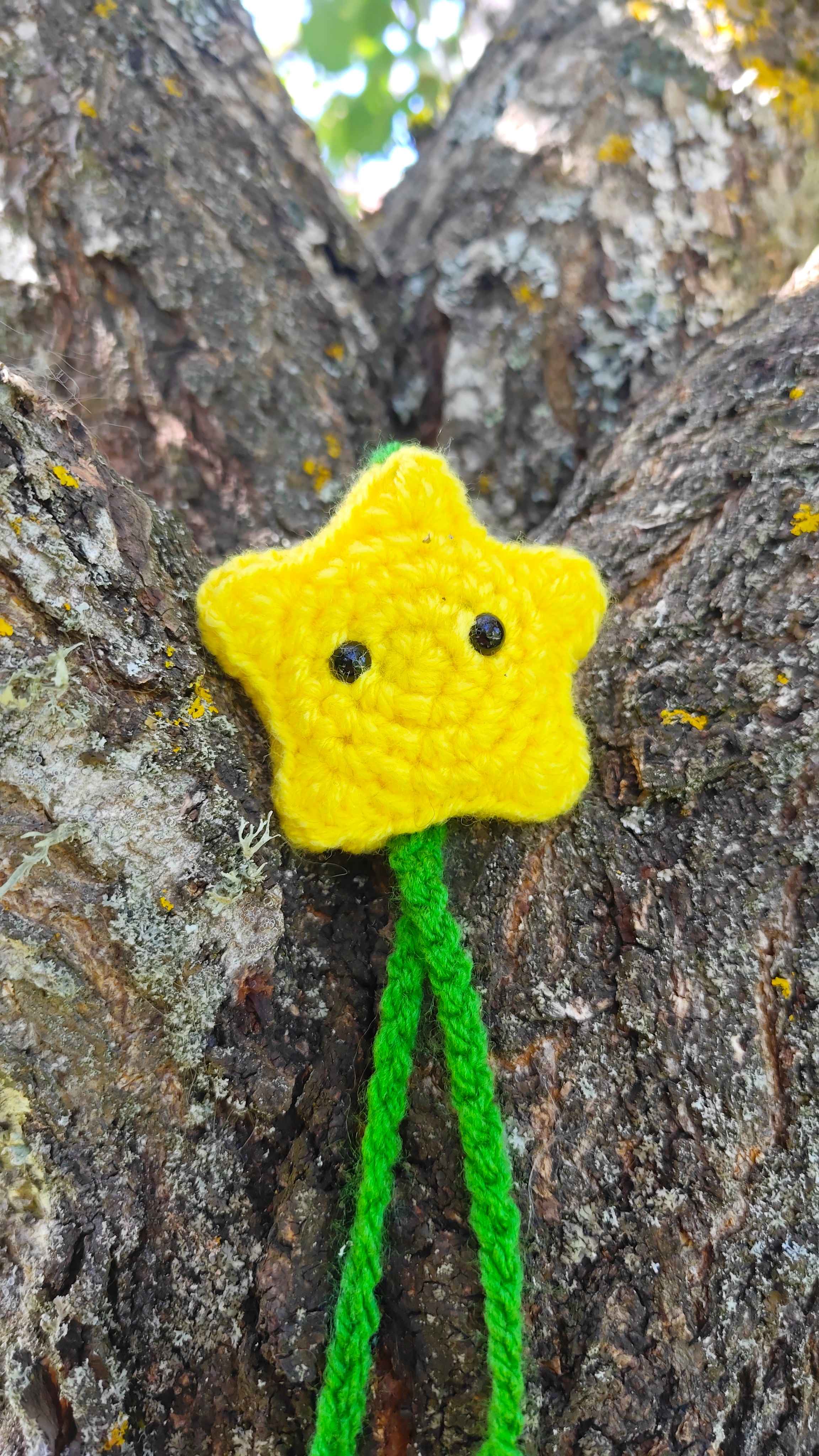 Guirlande-Décoration-à thème-personnalisable-Marion Bros- Stardew Valley
